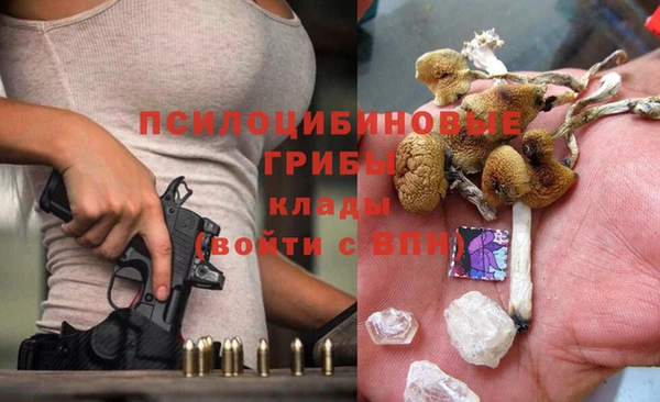 винт Алексеевка