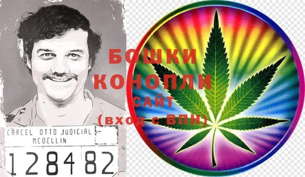 соль ск Алексин